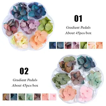 

Dried Flowers DIY Epoxy Resin Handmade Crafts Filling Materials N58F