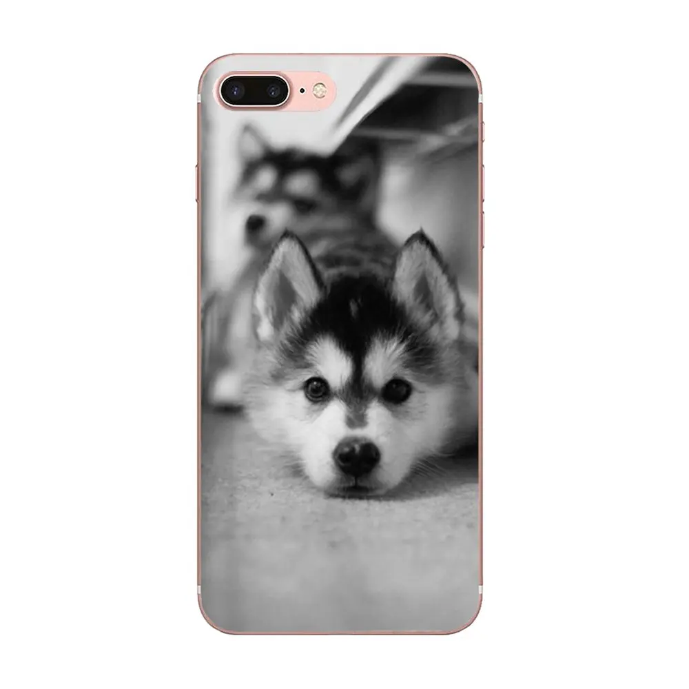 В продаже для Apple iPhone 4 4S 5 5C 5S SE SE2 6 6S 7 8 11 Plus Pro X XS Max XR Wacky Husky новый
