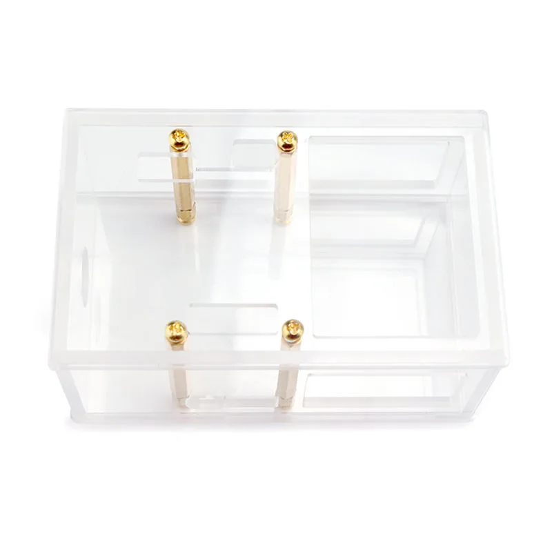 31