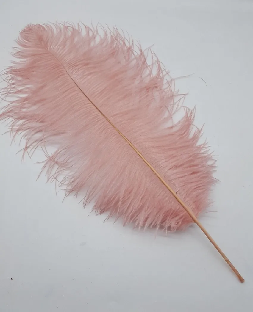 light durty pink Горячая Распродажа, новые цвета, 10 шт., 55-60 см, специальные цвета, страусиные перья для свадьбы, домашнего украшения и самодельных изделий - Цвет: light durty pink