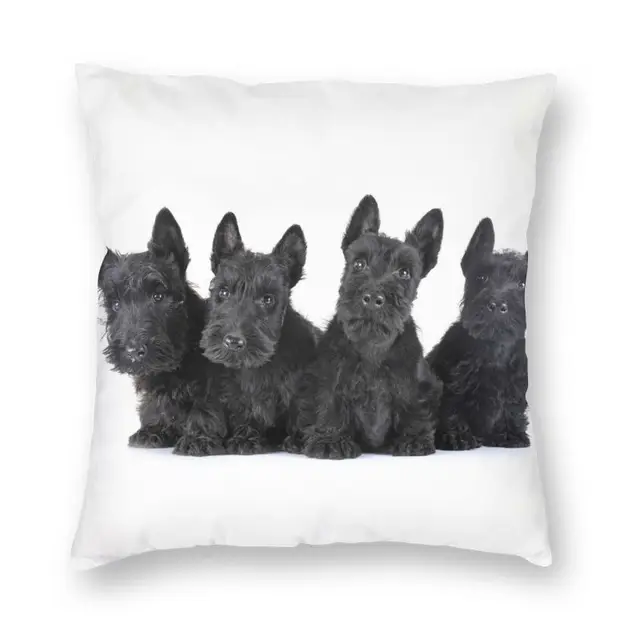 Skót Terrier Párna Borító 40X40 Házi Dekoráció 3D Nyomtatás Scottie Dog Drow Tok Autó Két Oldalra
