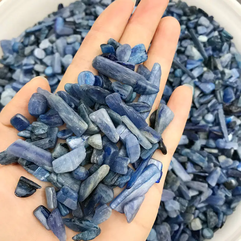 4288725464_1119757352