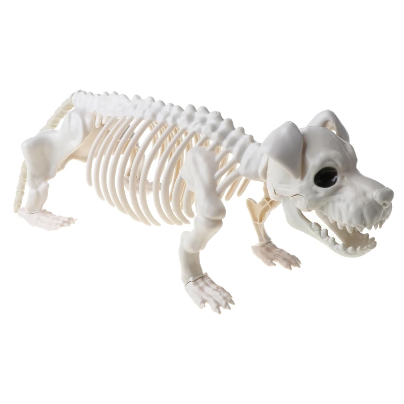 

Halloween Themed Party Ornaments Scary Standing Skeleton Dog Horrific Scene Prop