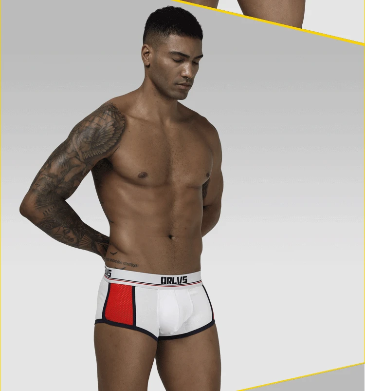 ORLVS Брендовое Мужское нижнее белье мужчины боксеры cueca tanga дышащие Ropa Interior Hombre мужские боксеры шорты calzoncillo мужские трусы