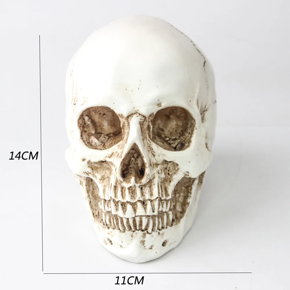 Череп 1:1 изделия из смолы Хэллоуин украшения Скульптура Статуя подходит для украшения бар фильм реквизит макияж украшения дома