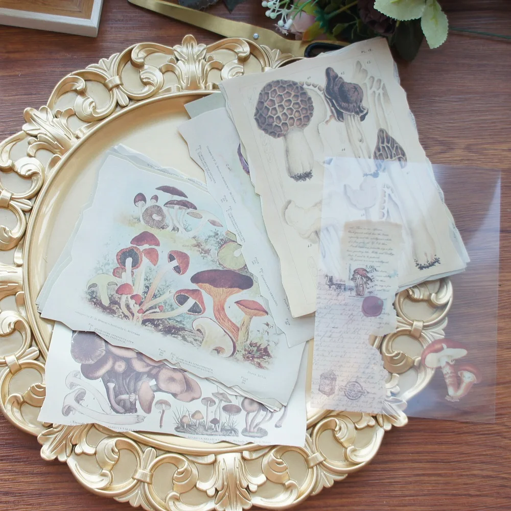 

24pcs Hand painted mushrooms Design Paper Creative Craft Paper Background Scrapbooking Gift DIY Message Use