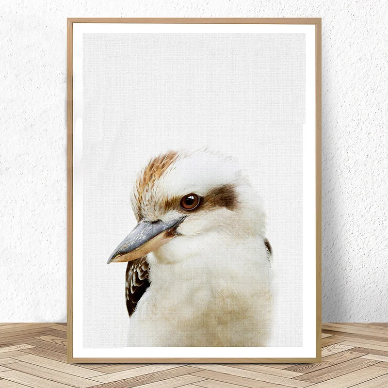 Kookaburra Австралийский декор для животных Детские постеры с принтом и картины на
