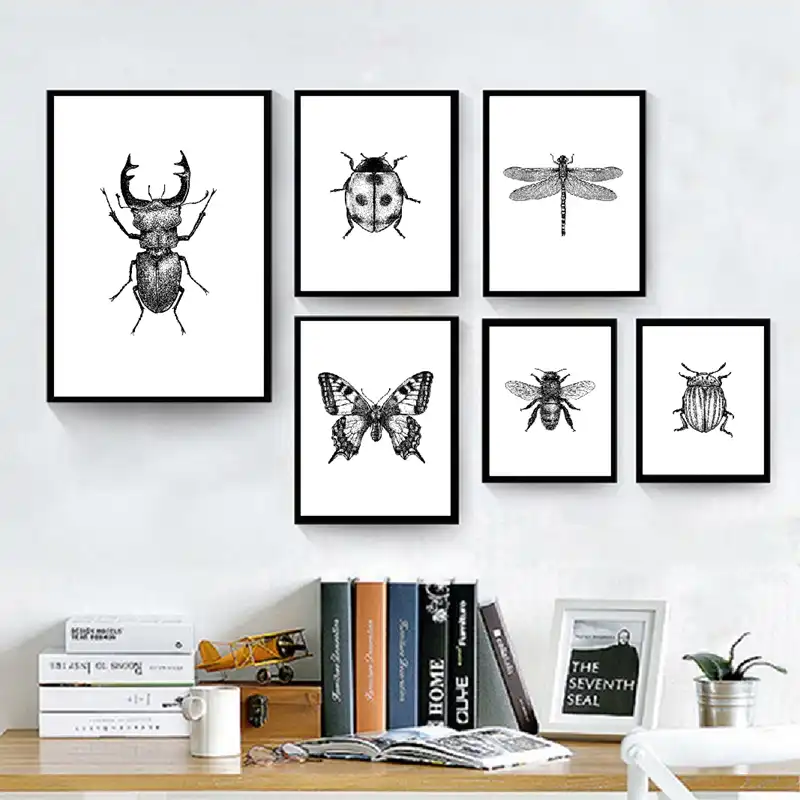 Ilustracion De Insectos Decoracion De La Familia En Blanco Y Negro