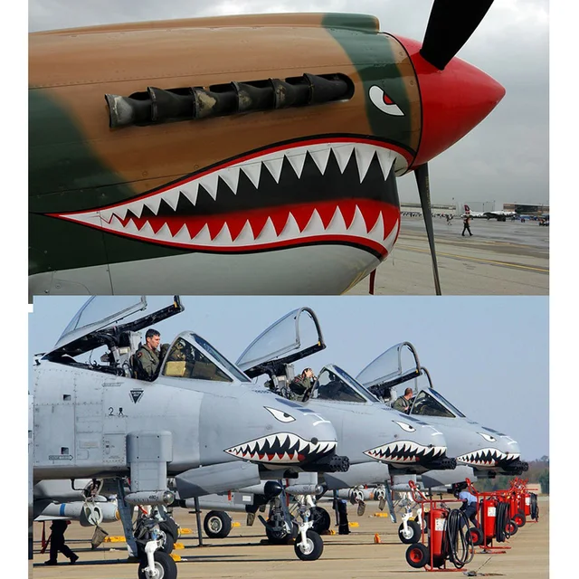 Tiger Shark Plane Decal