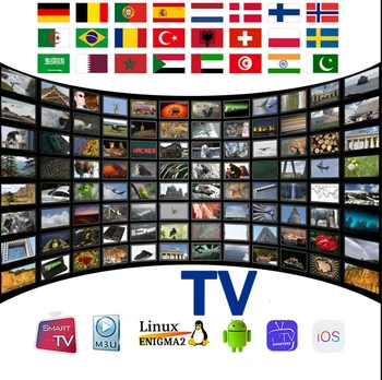 Cable de datos