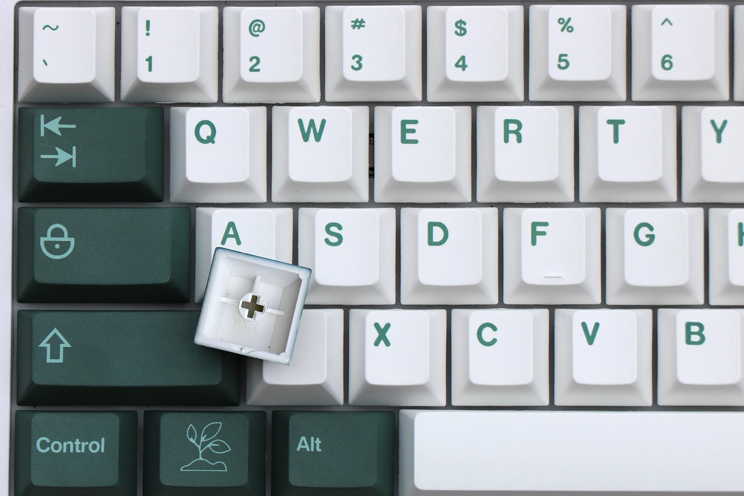 conjunto pbt tintura subbed keycap para teclado mecânico gmk botânico chave tampões cherry perfil com iso entrar barra de espaço