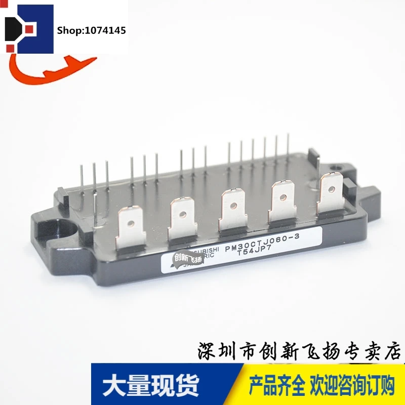 PM30CTJ060-3/