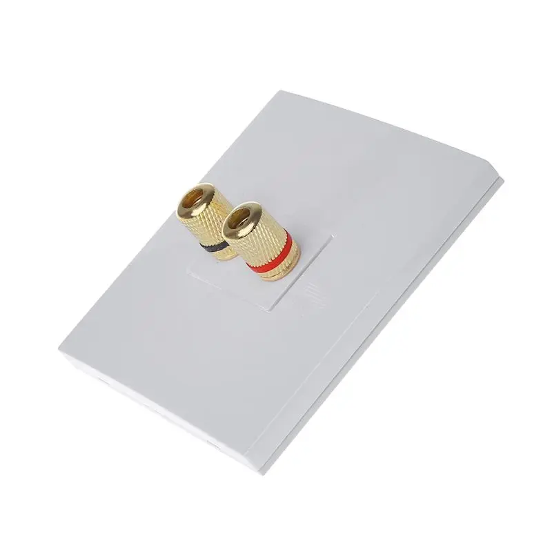 

Audio Panel Terminals 2 Binding Post Left Right Channels Speaker Connector Wall Socket Banana Jack LX9A