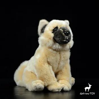 

Cute Akita Dog doll plush stuffed animals toy children holiday gifte real life dogs model toys soft