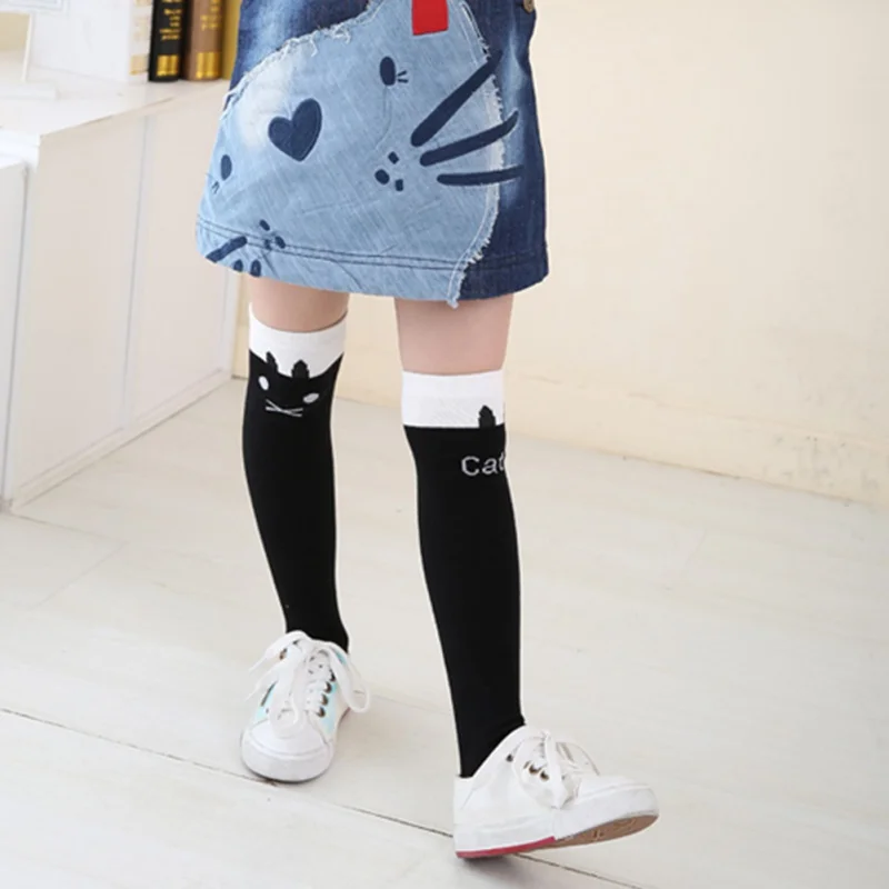 FK0931A (3)
