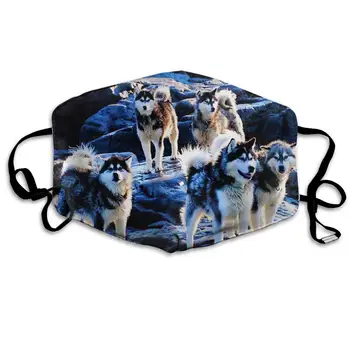 

Husky Dog Unisex Mask Indoor Outdoor Cycling Camping Travel Windproof Sun Anti Dust Mask Mouth with Adjustable Ear Loops
