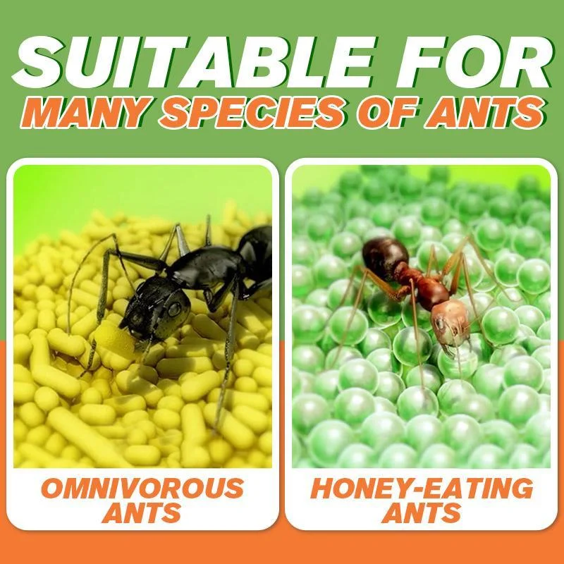 Ants-gone attractant ansu ant medicine small ant recovery ant bait in addition to killing small ants indoor dropshipping