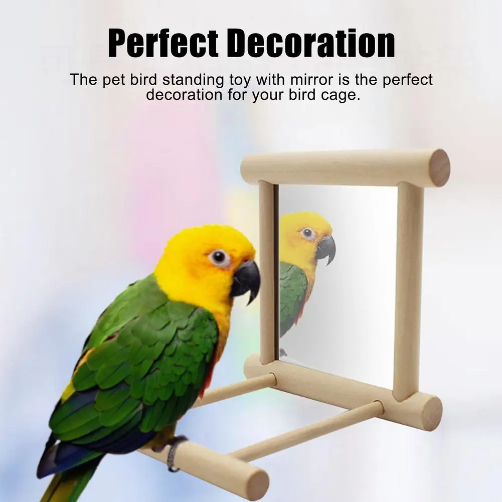 Stainless Steel Mirror Bird Cage Wooded Standing Rod Pet Parrots Perch Toy Birdcage Accessories Bird Cage Stand Supplies