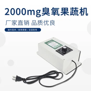 

2000mg/h Ozone Generator Machine Air Water Sterilizer Purifier with 60 minutes Timer for Fruits Vegetables Meat Food Cleaning