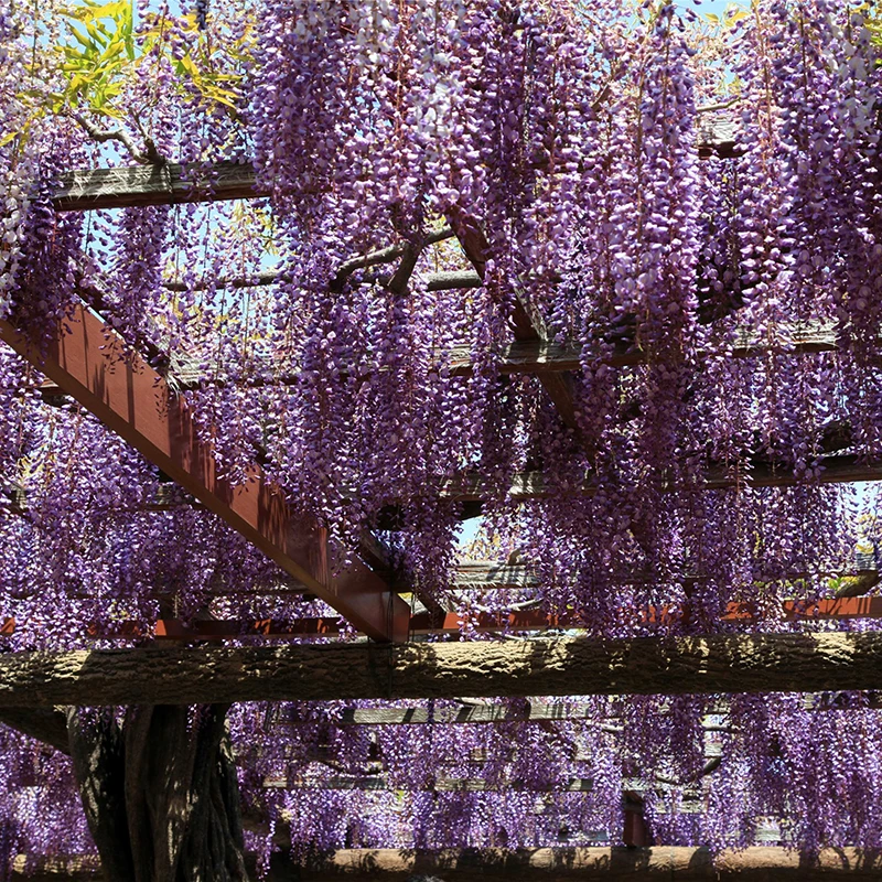 Искусственные цветы Висячие растения из ротанга для свадебной вечеринки