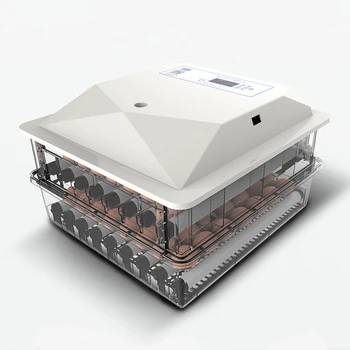 Miniincubadora de huevos con Chip inteligente, Control automático de temperatura, termostato para pollos, Incubadora Couveuse