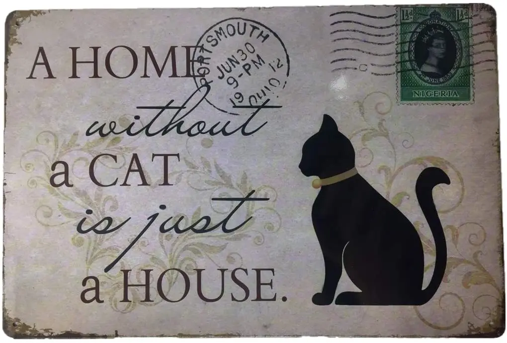 The cat is in the house. Кошка сидит на крылечке. Кошка в новой квартире. Стихотворение little mouse на английском. The cat is in the house.