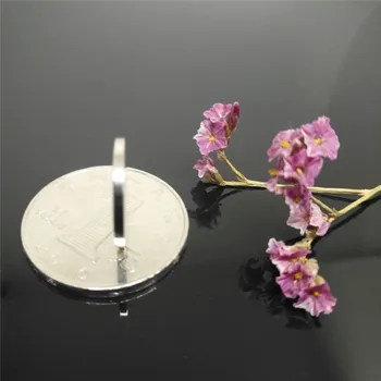 

50/100 pcs 20x1.5mm Earth-Magnet Strong-Cylinder Round Small Rare Mini Neodymium Bulk-Sheet 20x1.5 N35