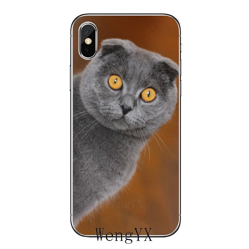 Шотландский Сложите cat для huawei Honor 10 9 Lite 8C 8X 7C 7X 7A V10 V8 Y9 Y7 Y6 премьер-профессионал чехол - Цвет: fold-cat-A-03