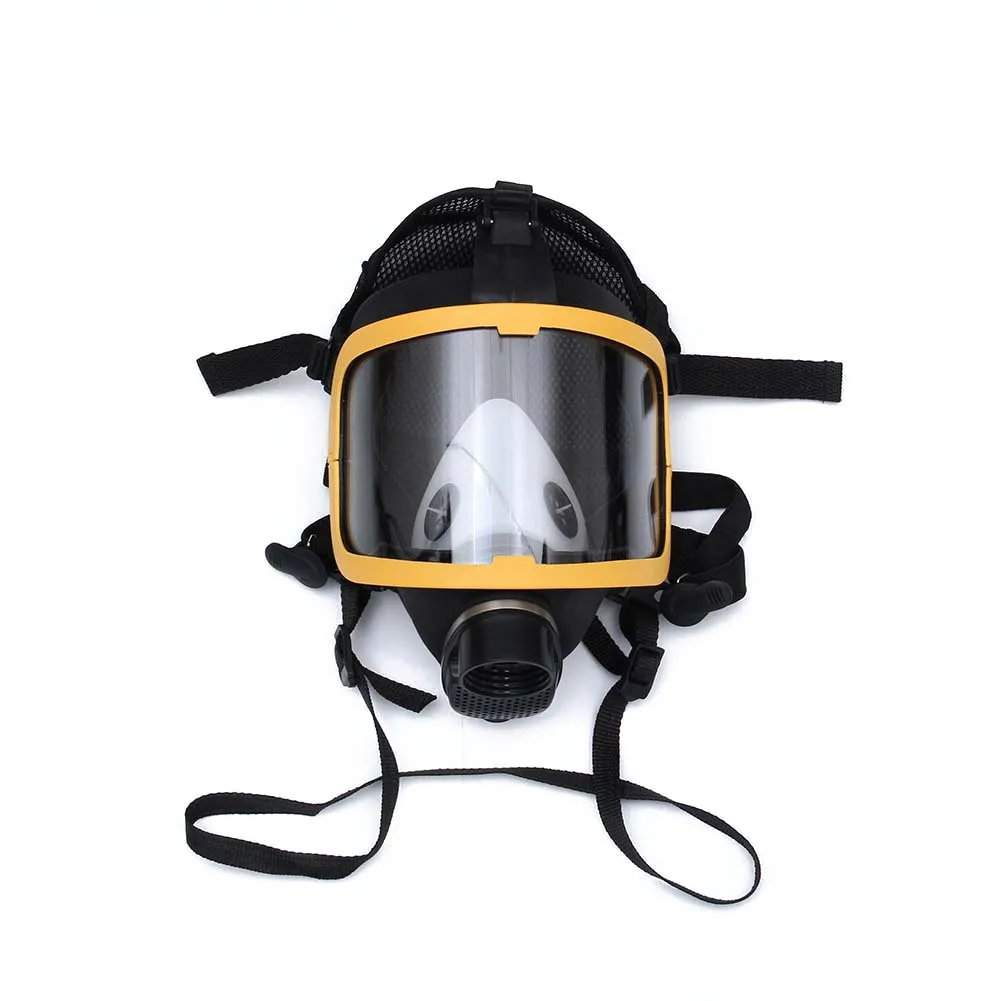 

Electric Supplied Air Fed Full Face Gas Mask Constant Flow Respirator System Device VDX99
