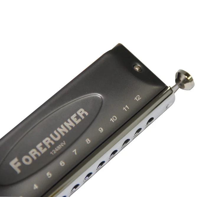 Estilo para Iniciantes Oriente Forerunner Gaita Cromática 12 Orifícios 48 Tons Órgão Bucal Novo Presente T1248nv Top - Image 6