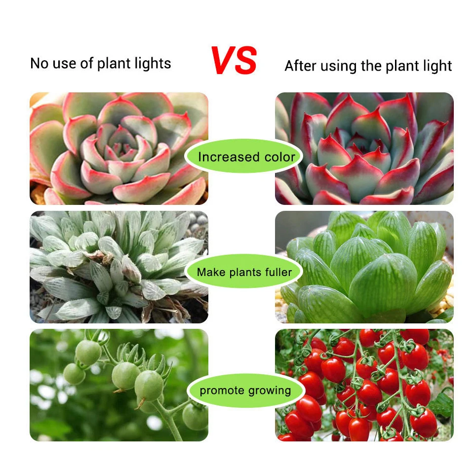 21LED Grow Light DC5V USB Red & Blue Hydroponic Plant LED Phyto Tape Bar Night Light Book Lamp For Desktop Plants Flower Growing