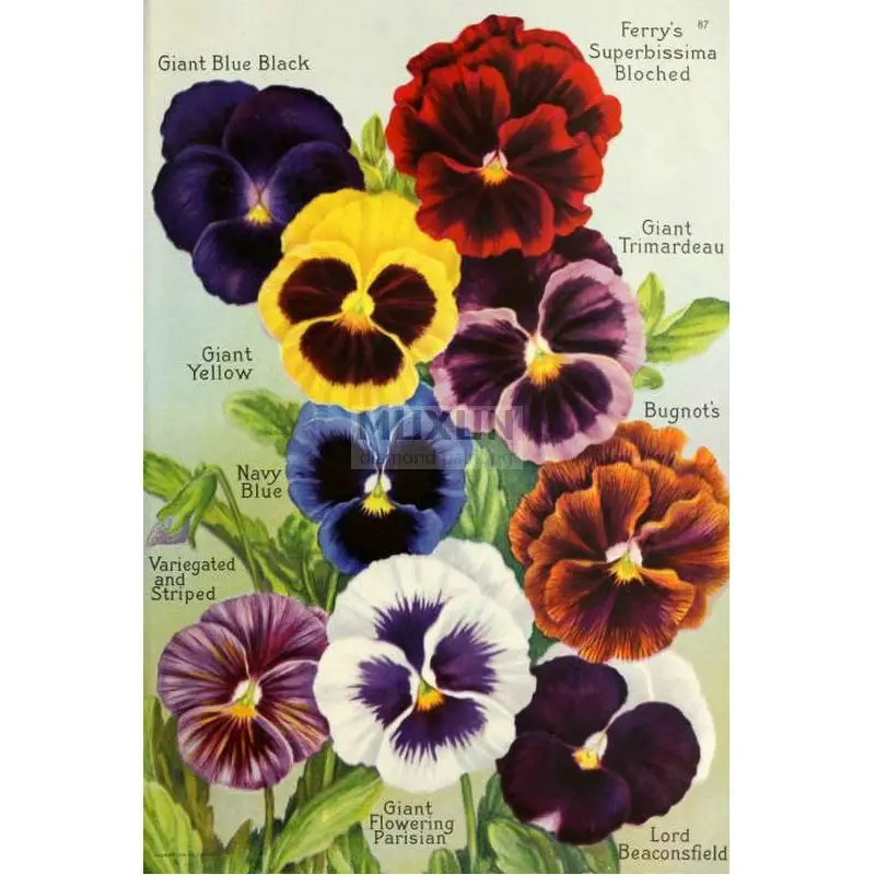 Алмазная вышивка Pansy 5d квадратная алмазная живопись крестиком цветок
