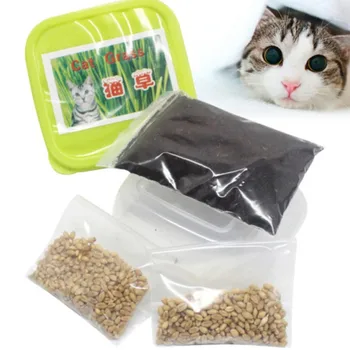 

Green Digestive Crystal Catnip Grass Toys Healthy Treat Plant Double Catnip Seed grass bonsai Cat Kitten Catnip Toy