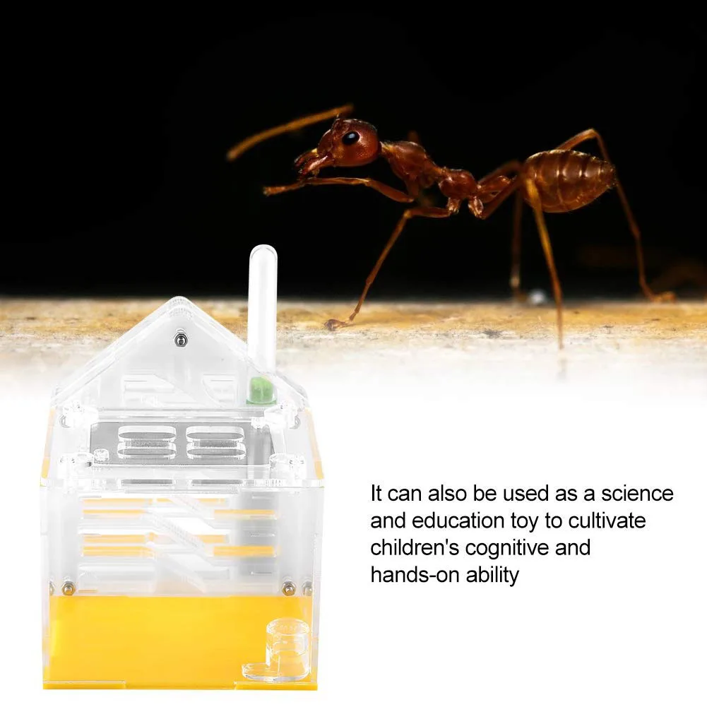 With Feeding Area DIY House Transparent Acrylic Insect Moisturizing Ant Nest Farm Pet Small Villa Breed Home