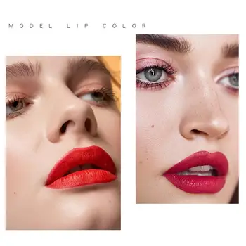 

2 In 1 Velvet Mist Lipgloss Liquid Lipstick Professional For Makeup Liquid Lipsticks Makeup Tint Line Matte Lip Waterproof M9W5