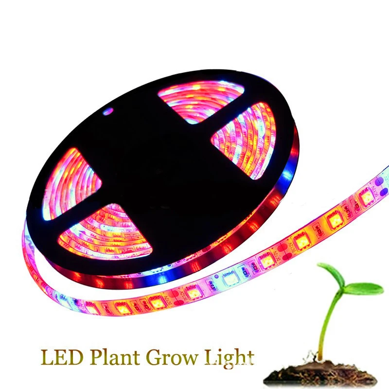 

DC12V 5M 60LEDs Led Grow Light Growing LED Strip Plant Growth Light Set Greenhouse Grow DIY For LED Growth Lamp Seedlings Plants