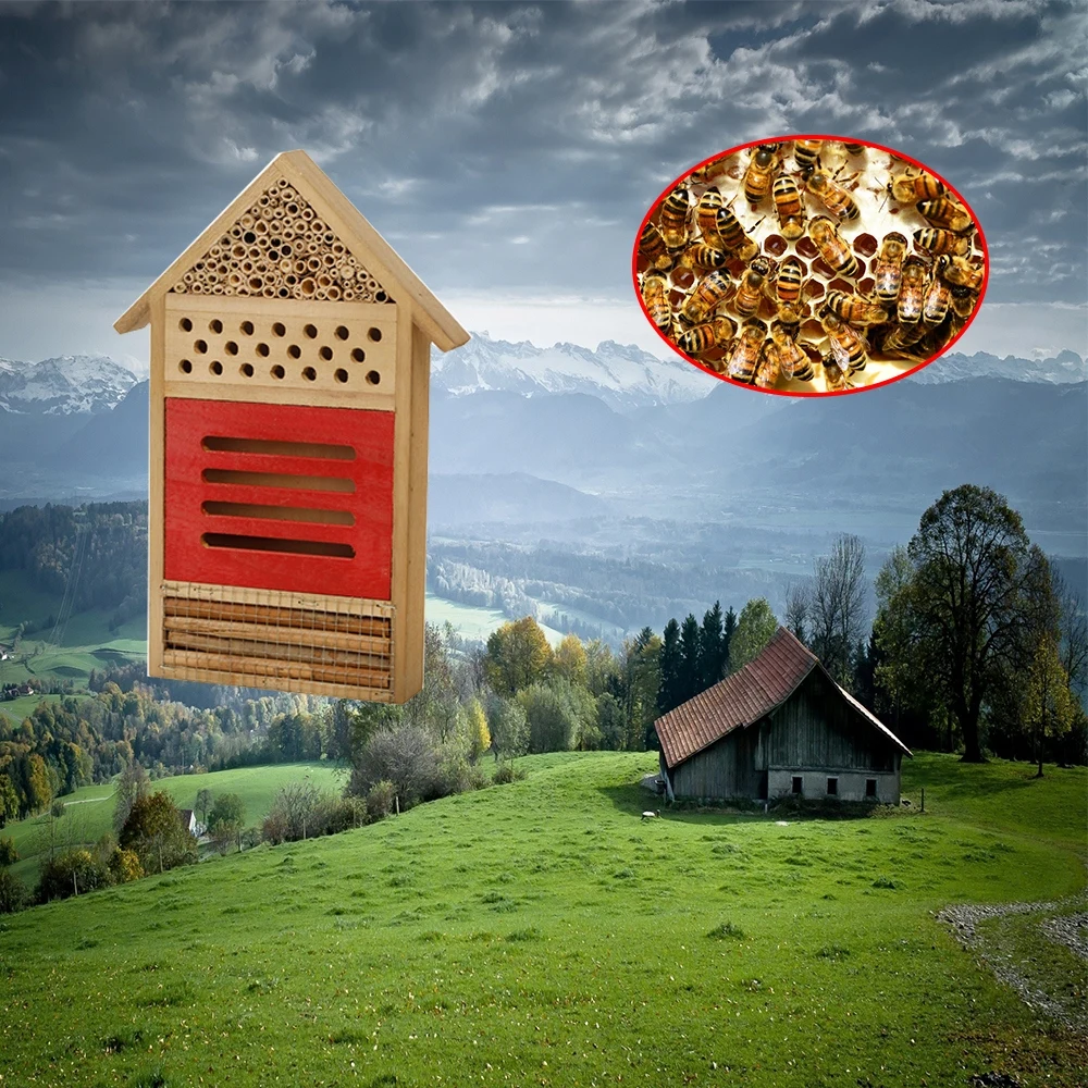 Insect Bee House Wooden Bee Nests Box Beehive Bug Shelter Nests Box Insects Beehouse Honey Tools Garden Decoration