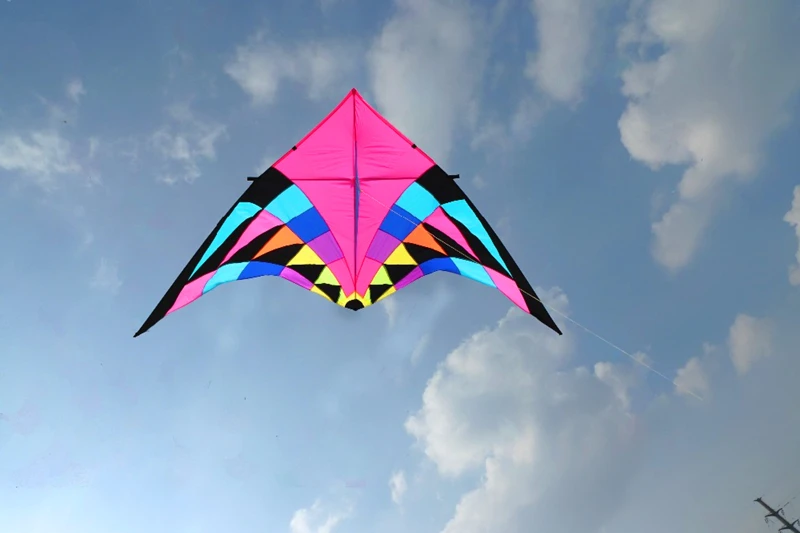 Free shipping large delta kite for adults flying toys ripstop nylon sport kite string reel dragon kite cerf volant parachute 3