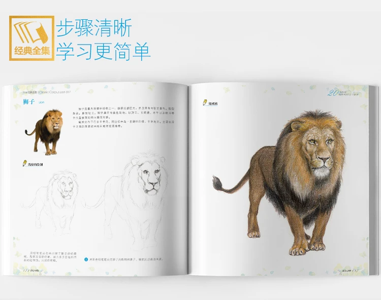Новые цветные карандаши эскизы записи книги китайские рисунки карандашом книги животный эскиз основные познания учебник книга для