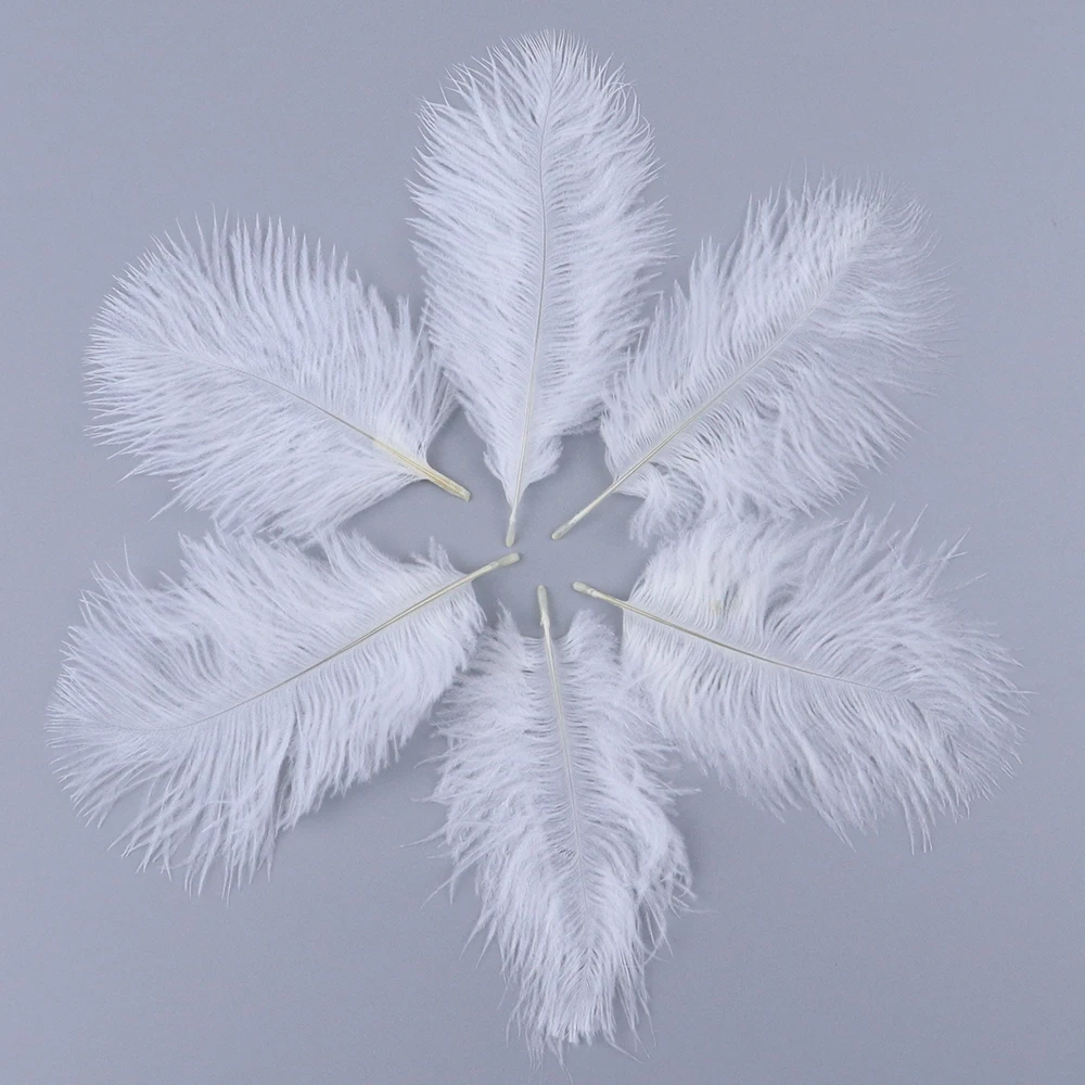 TS0105012 5-10cm ostrich feathers 3