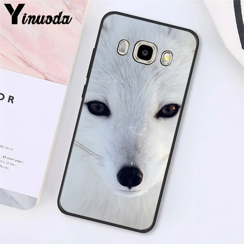 Fox Animal