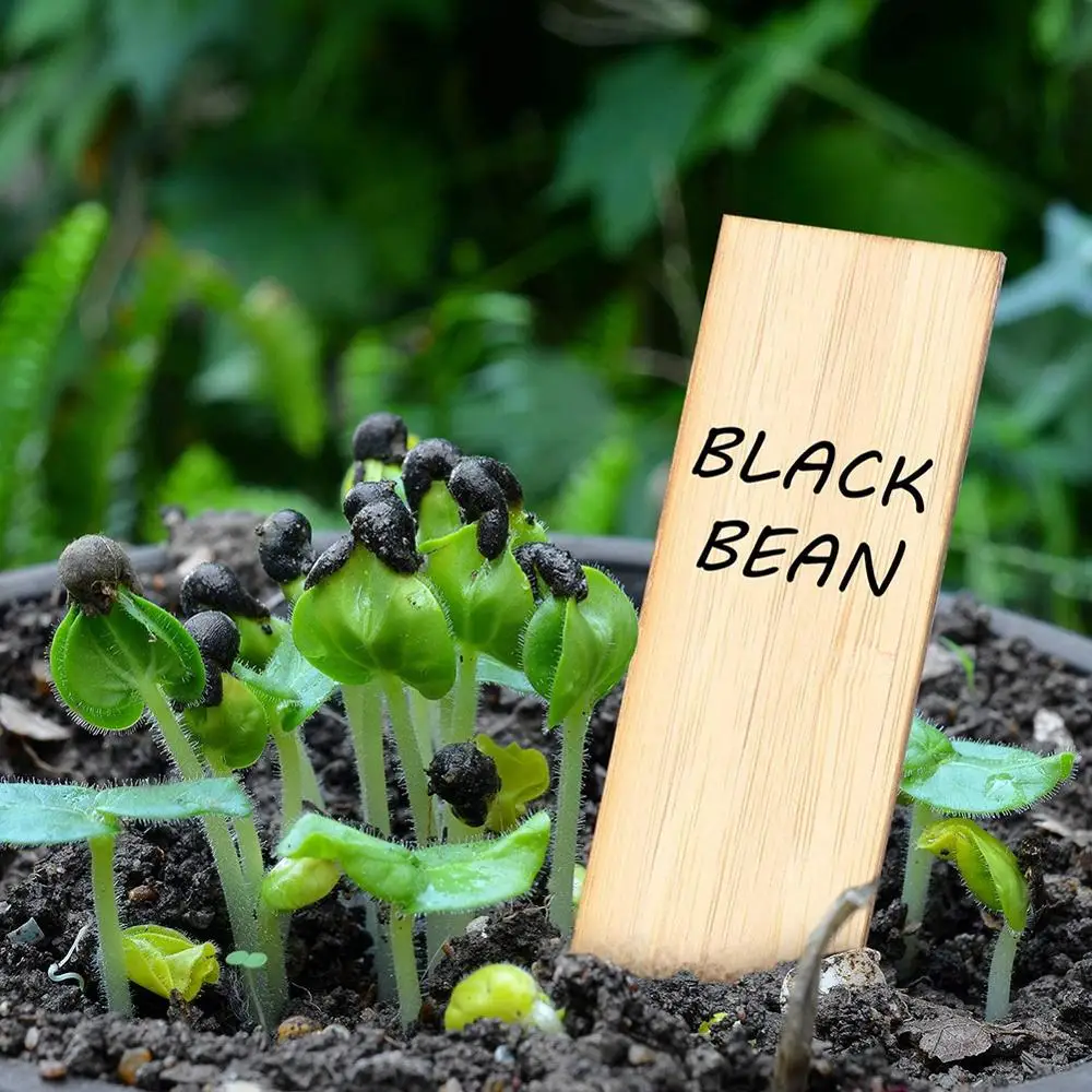 100pcs Bamboo Plant Labels With 2 Pen Eco-Friendly Wooden Plant Sign Tags Garden Markers Garden Signs Plant Labels Flowers Tools 100pcs Bamboo Plant Labels With 2 Pen Eco-Friendly Wooden Plant Sign Tags Garden Markers Garden Signs Plant Labels Flowers Tools