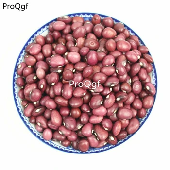 

Ngryise 500Pcs A Set red Phaseolus vulgaris