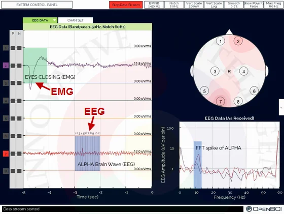 OpenBCI V3 с открытым исходным кодом Arduino EEG мозговой Электрический модуль-8/16 канал-официальная беспроводная версия