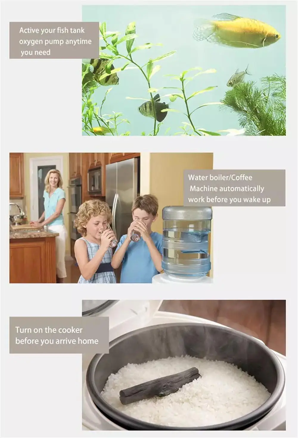 HTB1iN19XJfvK1RjSspf762zXFXa6.png__.web