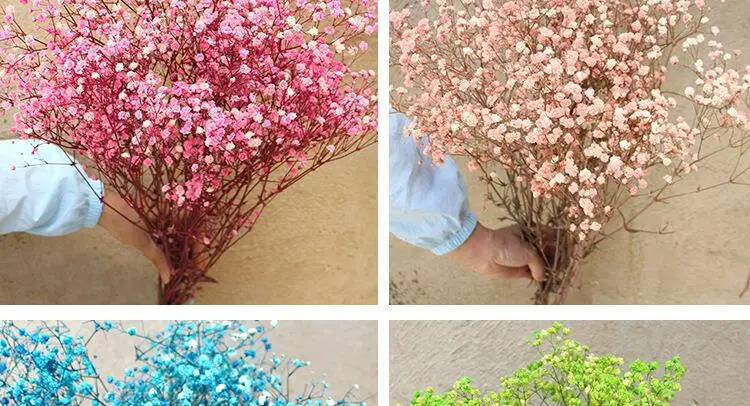 Natural Fresh Dried Preserved Flowers Gypsophila Paniculata,Baby's Breath Flower Bouquets Gift for Wedding Decoration,Valentines Natural Fresh Dried Preserved Flowers Gypsophila Paniculata,Baby's Breath Flower Bouquets Gift for Wedding Decoration,Valentines
