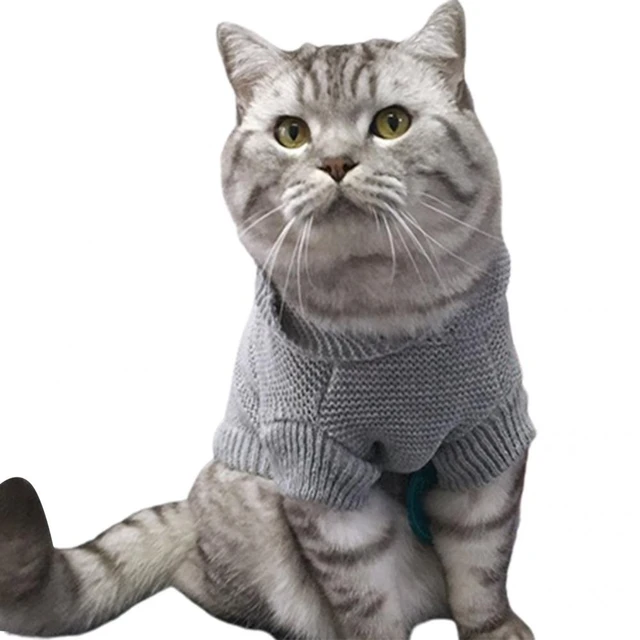 manteau motif chat