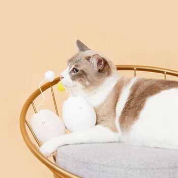 

Plastic Wlectric Toy Cat Toy Ball Type Interactive Toy Pet Product Tumbler Cat And Owner Interaction Toy Pet Toy2