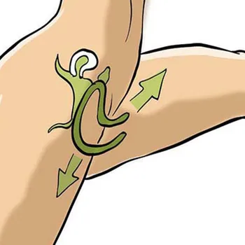 Adjustable Vagina Dilator /Labia Clamp Speculum Spreader Sex Toys For Women/ Couples Sex Game Accessory Clitoris Stimulator Toy 3