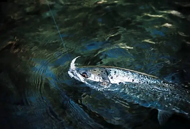 SF Welded Tapered Leader Fly Fishing with Loop Nylon 9/7.5ft Fishing Leader ( 6 PCS)